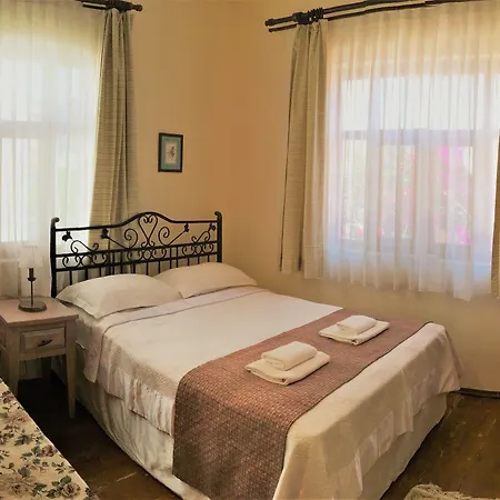 Nar Adaevi 게스트하우스 보즈자아다