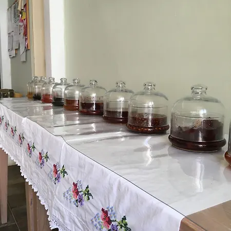 Nar Adaevi 3* 보즈자아다